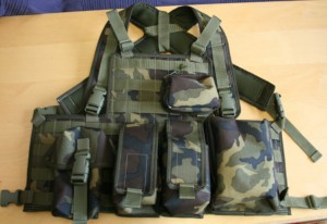 Astex1.jpg